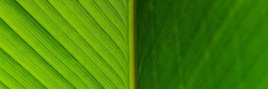 The Origyn Strategy: An Ongoing Commitment to Circular Practice